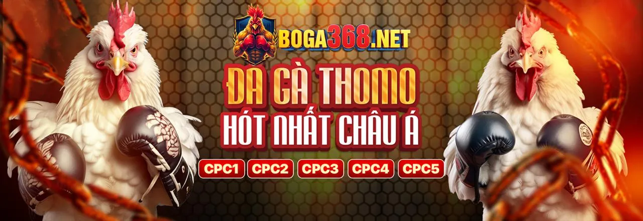 Giao dịch tài chính an toàn tại bongbet